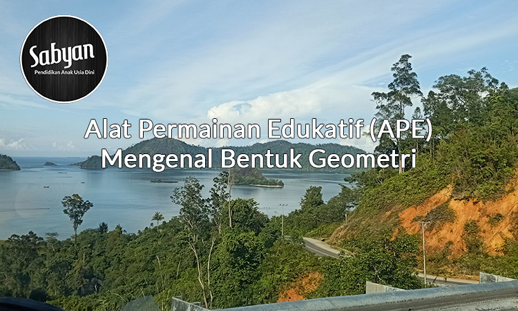 Alat Permainan Edukatif (APE) Mengenal Bentuk Geometri untuk Anak TK