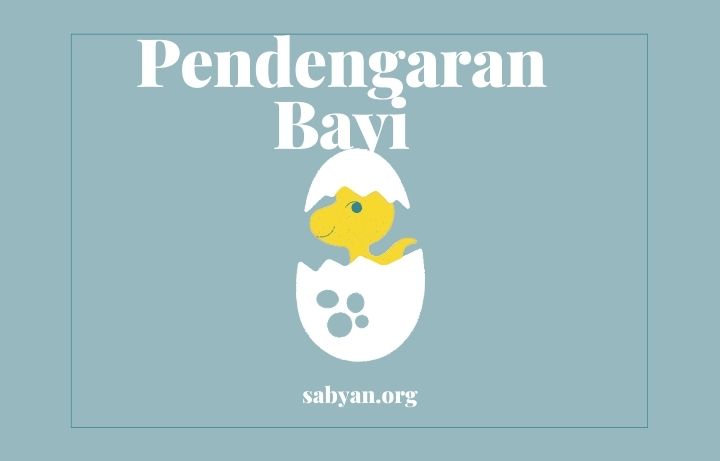 Korteks Pendengaran Bayi dan Balita