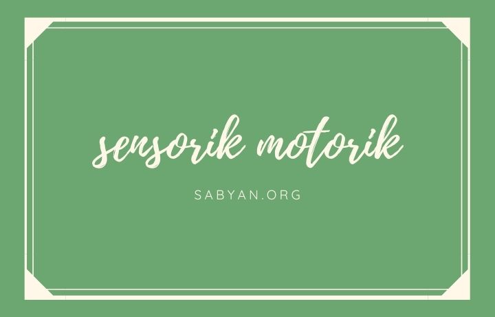 Sistem Sensorik Motorik Anak di Awal Kehidupan