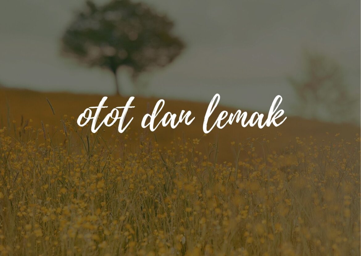 Otot dan Lemak, Apa Manfaat di Tubuh?