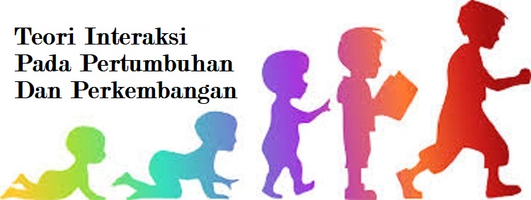Teori Interaksi Pada Pertumbuhan Dan Perkembangan